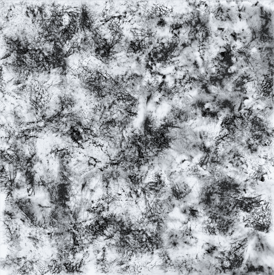 Josh Vodka Bottle Design