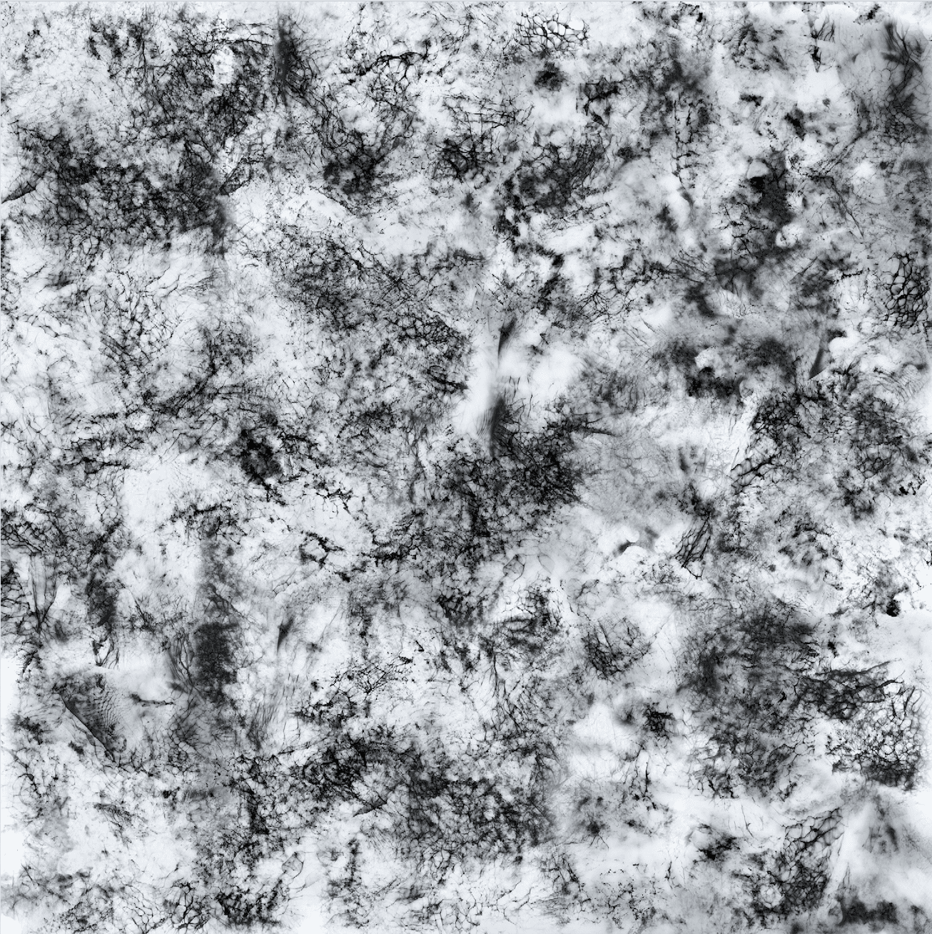 Josh Vodka Bottle Design