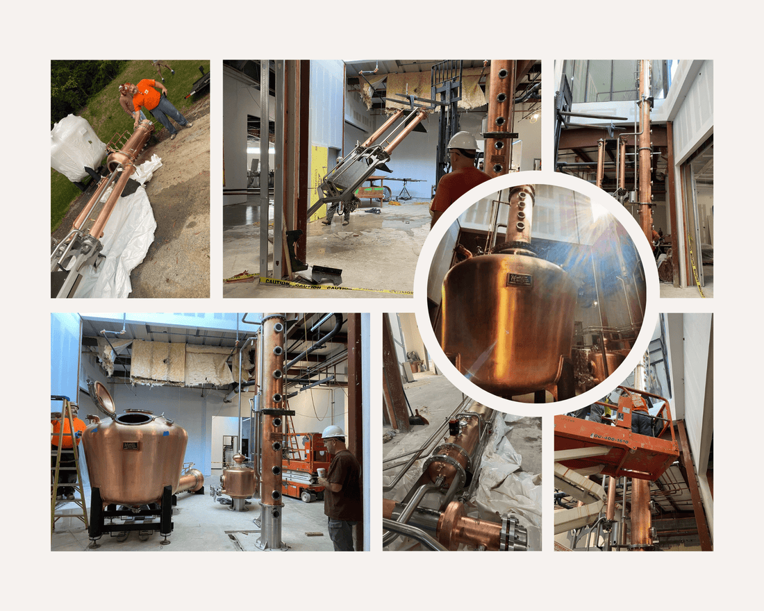 The Stills Are Alive