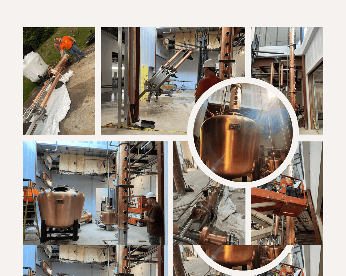 The Stills Are Alive