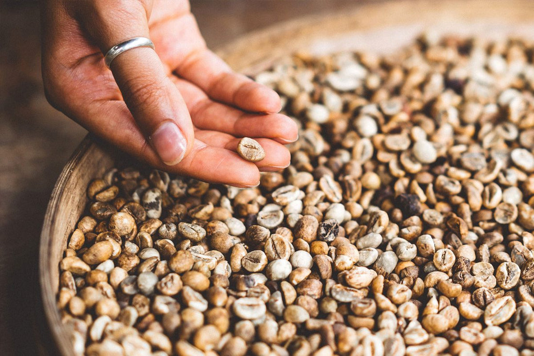 distillery ingredients